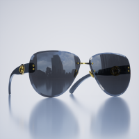 Laileb Phoenix Women Sunglasses Black