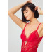 Red Snap Back Low Cut Transparent Covered Lace Bodysuit